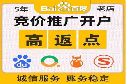 行业标杆的SEM竞价营销案例研究